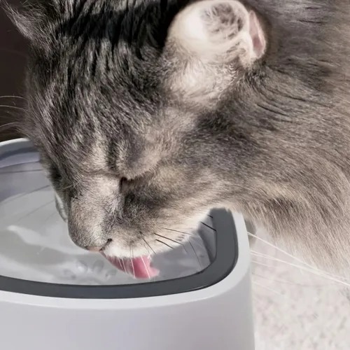 Miniatura 5 de BEBEDERO DE AGUA DEMASCOTAS ANTIDERRAME